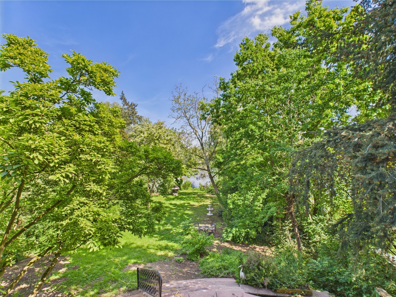 Blick in den Garten