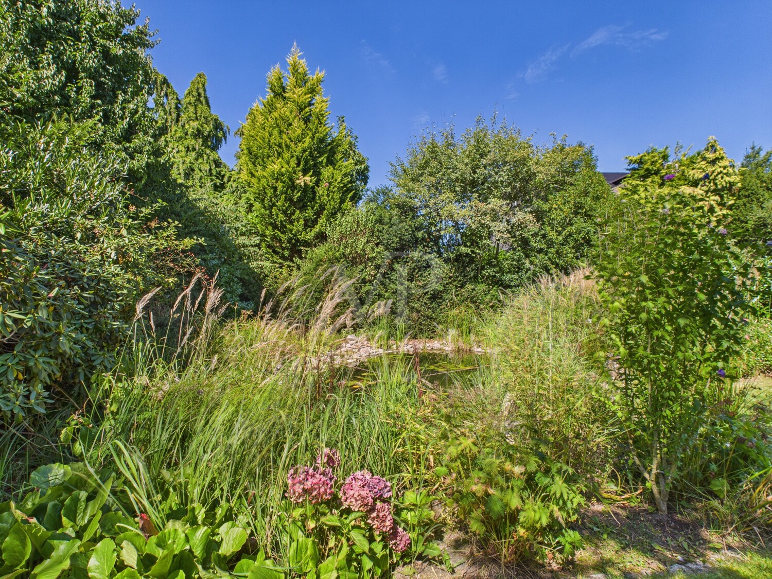 Gartenteich