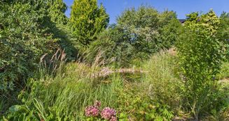 von_poll_real_estate_property_25352087_image_25