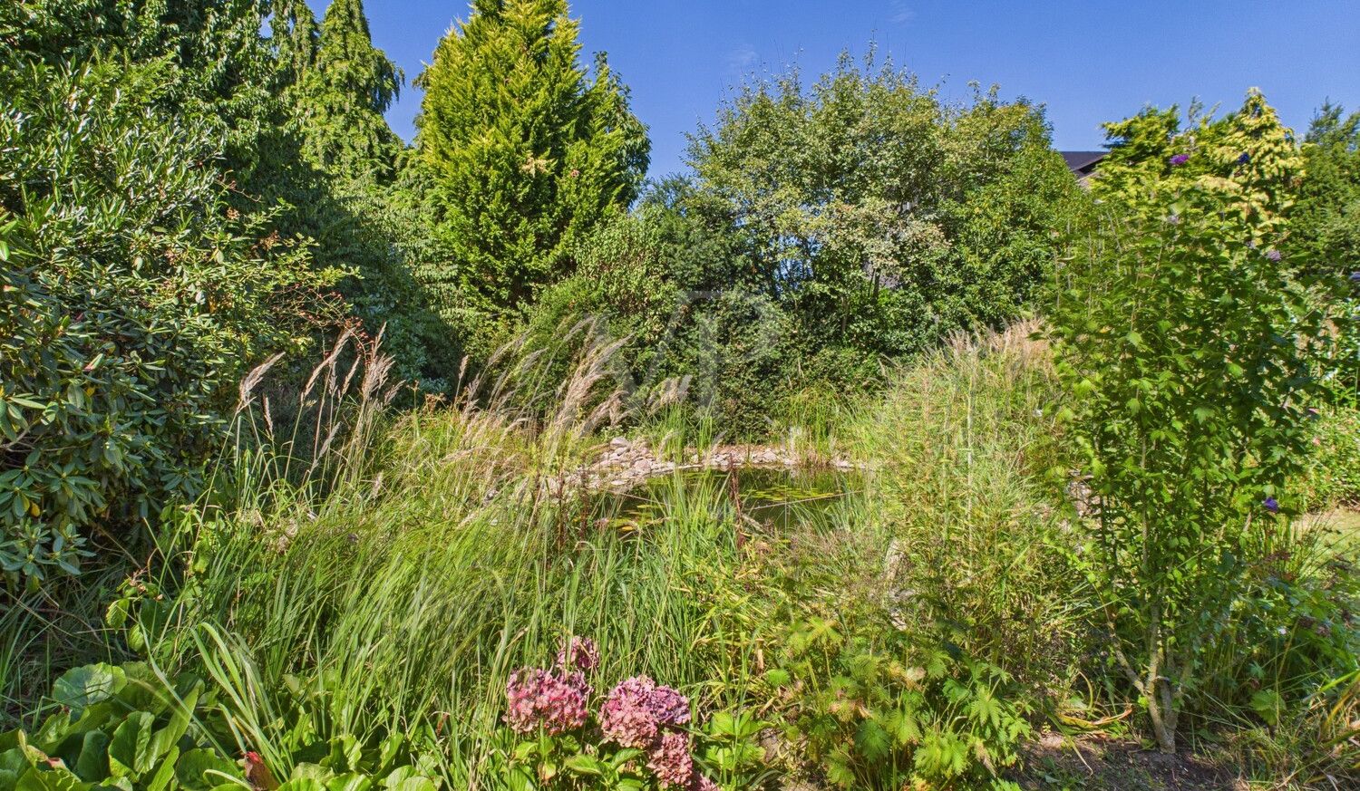 Gartenteich