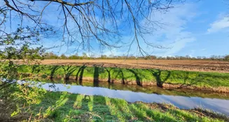 von_poll_real_estate_property_25295007_image_23