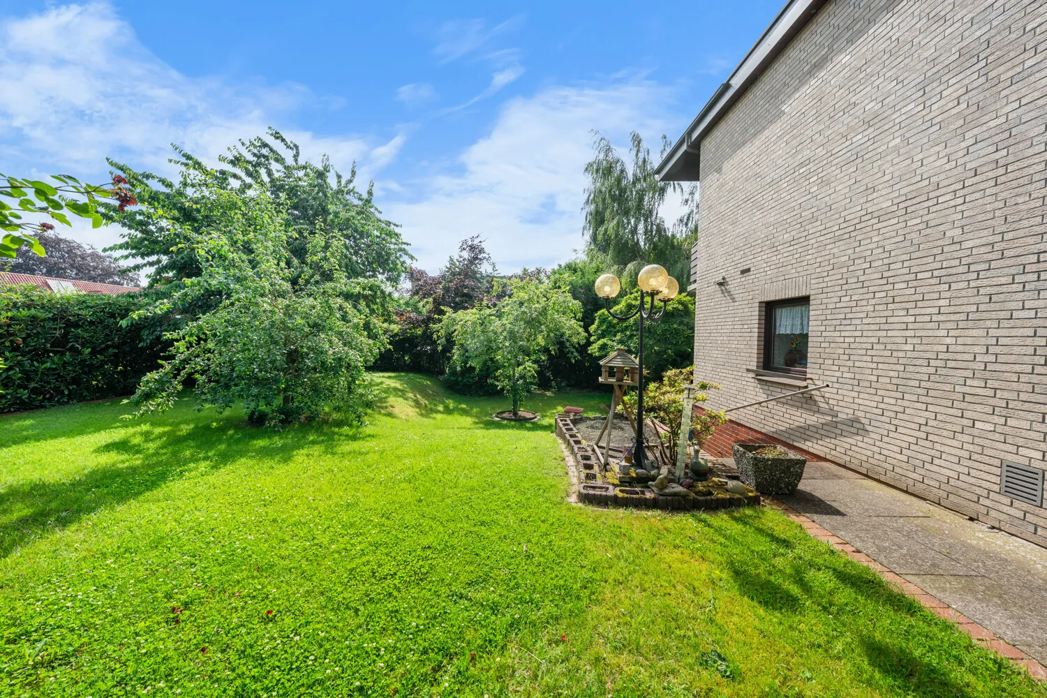 Blick in den Garten