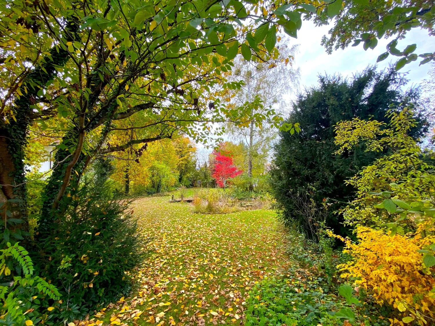 Grundstück - Blick Richtung SW