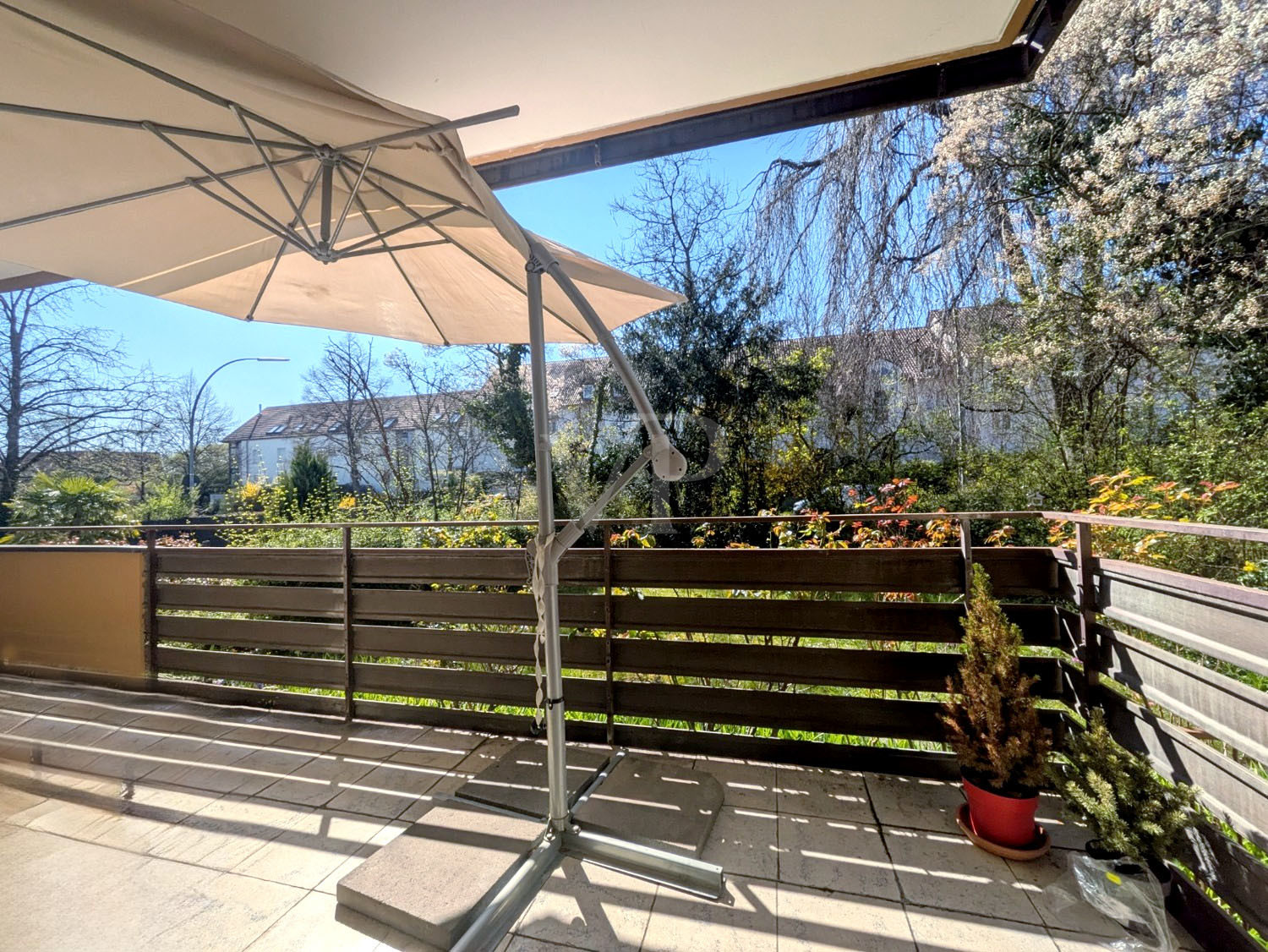 Süd-Balkon