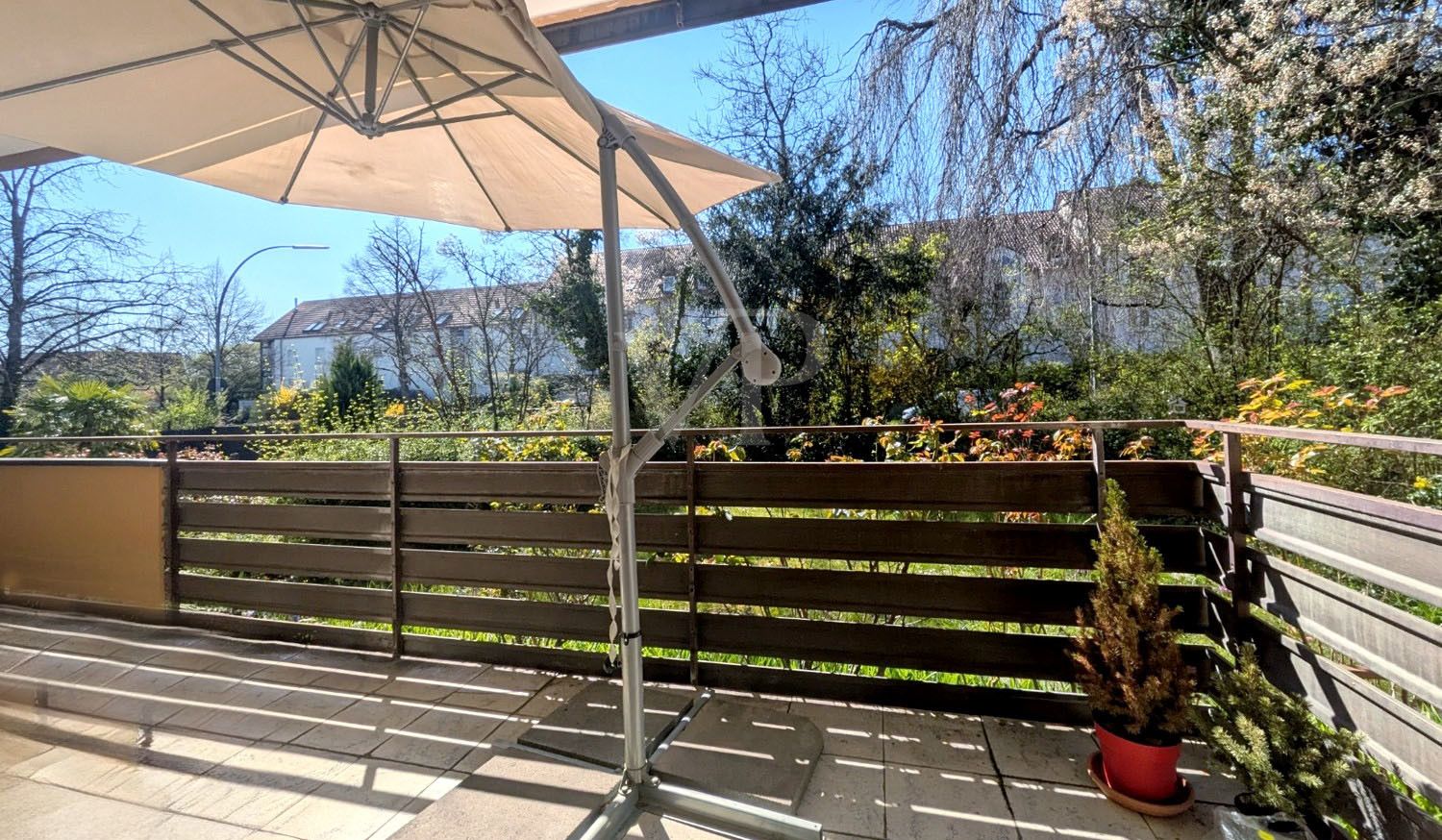 Süd-Balkon