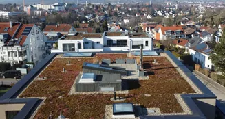 von_poll_real_estate_property_25120008_image_7