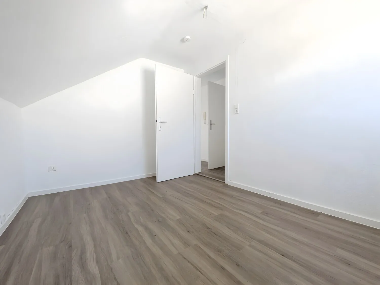 Zimmer DG