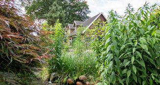 von_poll_real_estate_property_25293033_image_30