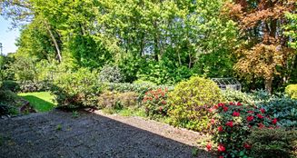 von_poll_real_estate_property_25293022_image_6