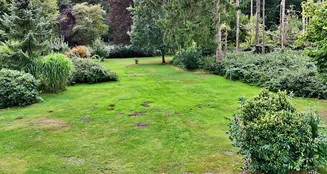 von_poll_real_estate_property_25293051_image_5