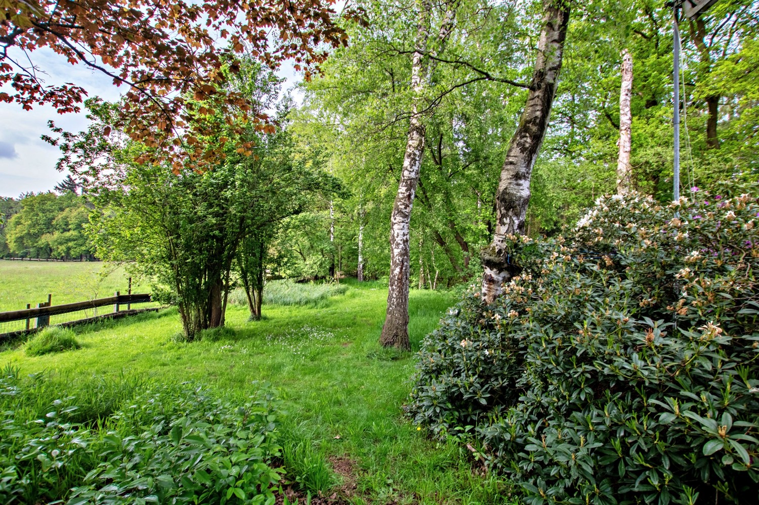 Blick in den Garten