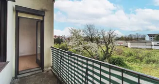 von_poll_real_estate_property_25293019_image_5