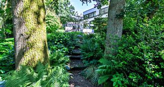 von_poll_real_estate_property_25293014_image_6