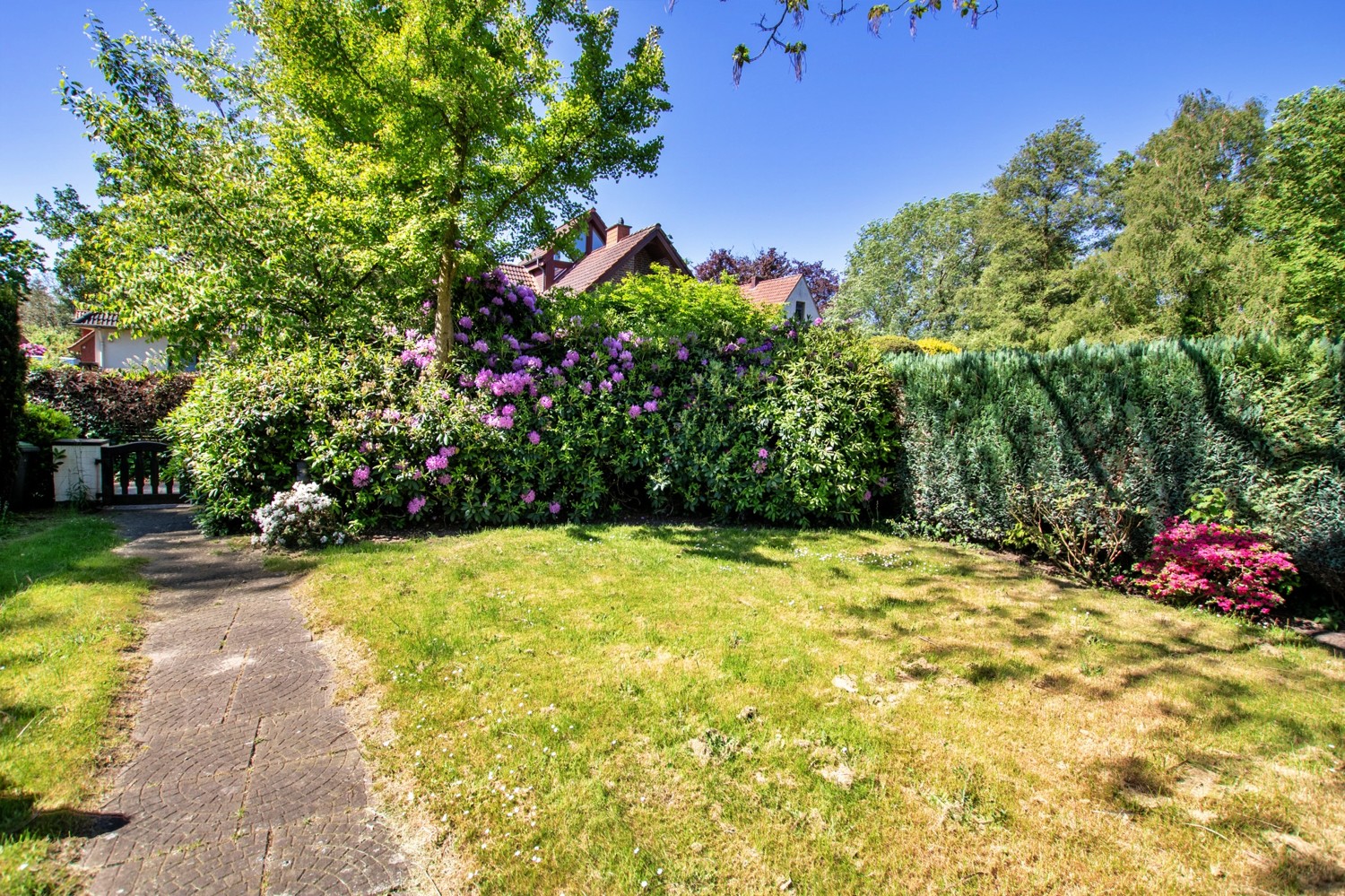 Blick in den Garten