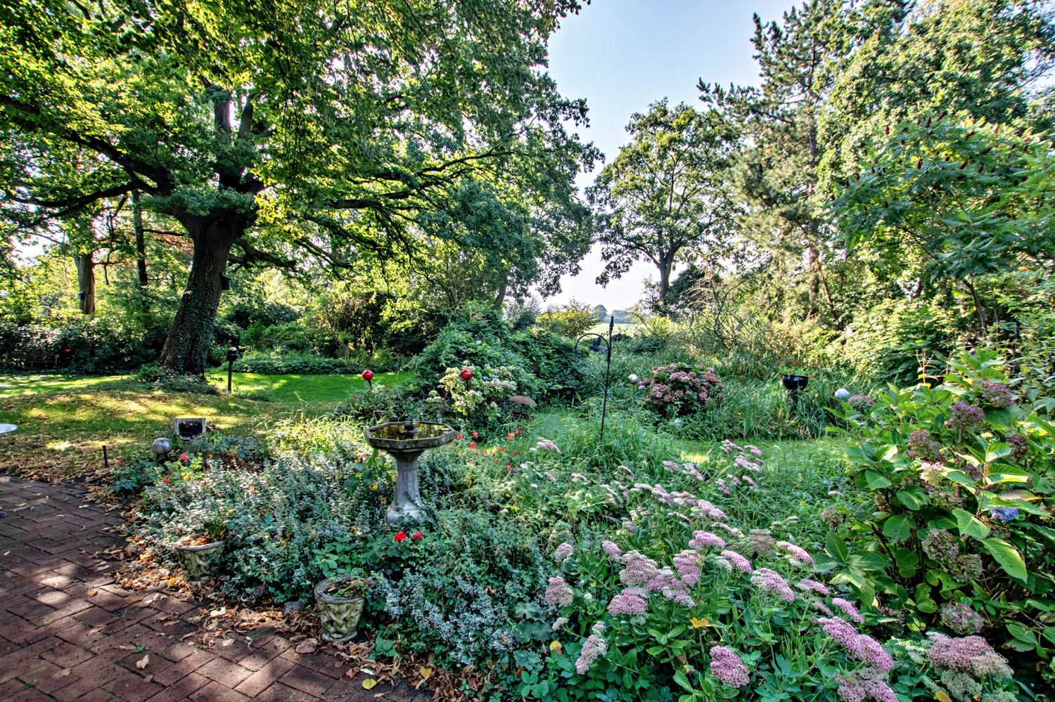 Blick in den Garten