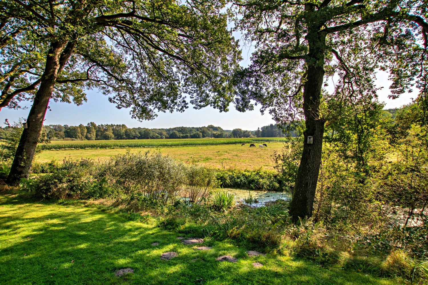 Blick über die Felder