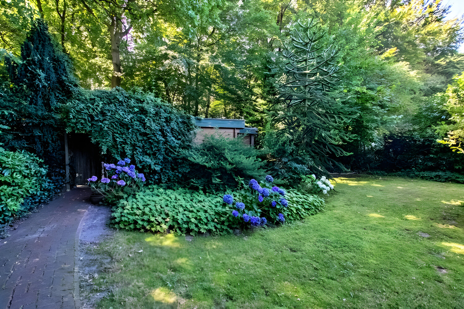 Blick in den Garten