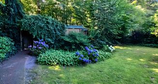 von_poll_real_estate_property_25293041_image_10
