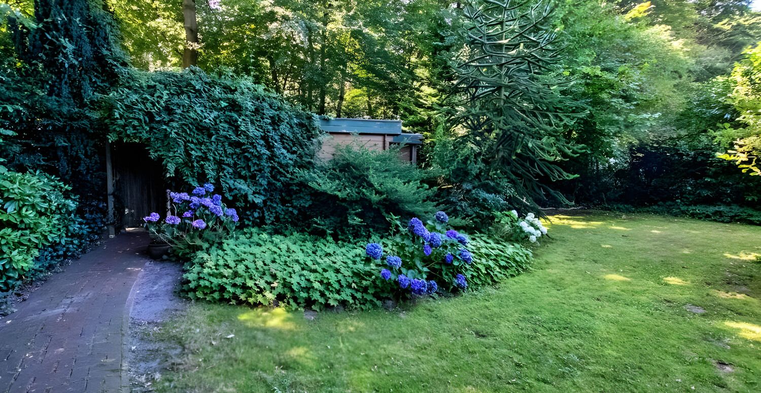 Blick in den Garten
