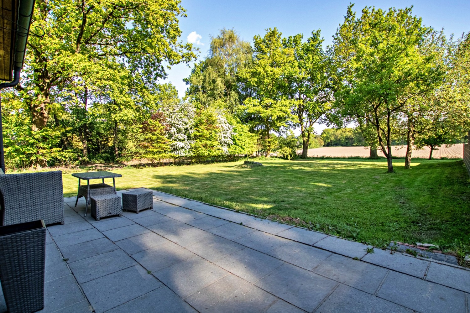 Blick in den Garten