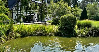 von_poll_real_estate_property_25293050_image_6