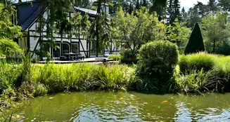 von_poll_real_estate_property_25293050_image_6