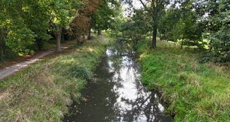 von_poll_real_estate_property_25293043_image_6