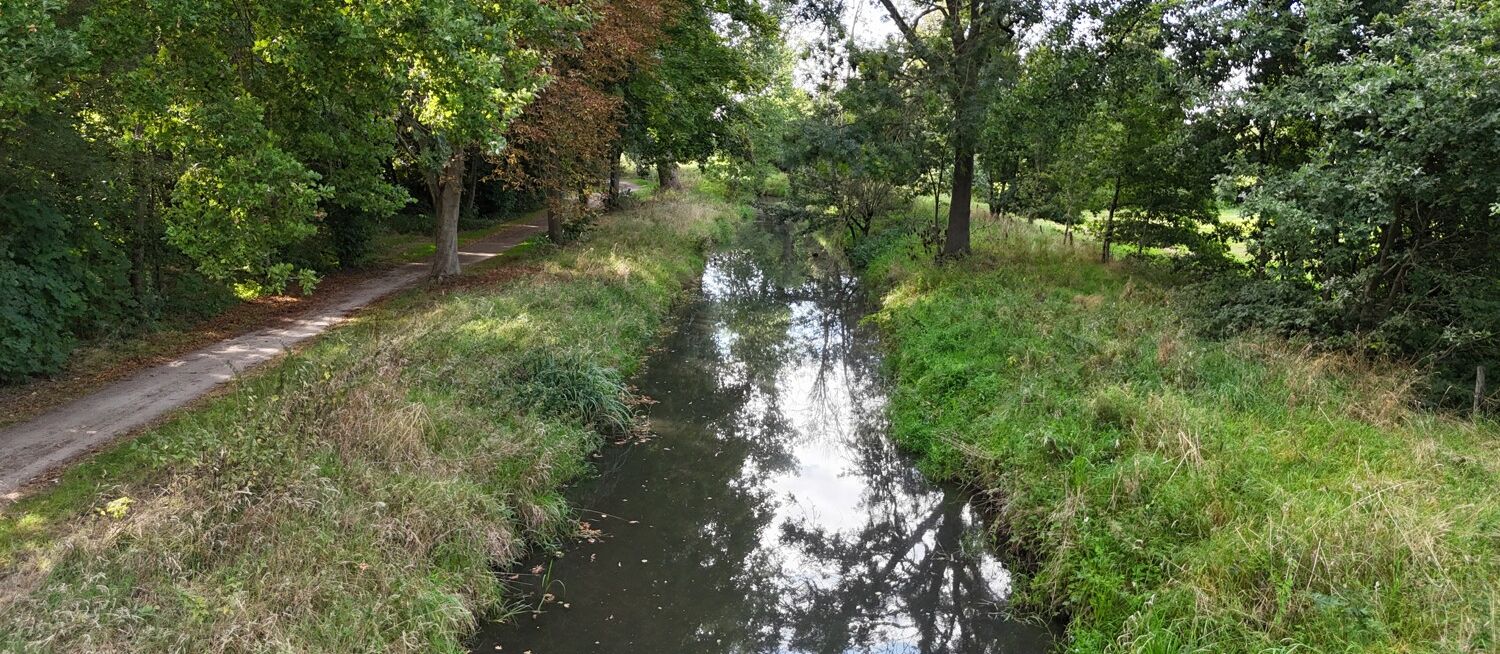 Wasser