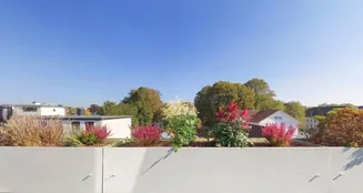 von_poll_real_estate_property_25293055_image_10