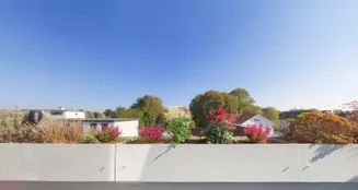 von_poll_real_estate_property_25293055_image_10