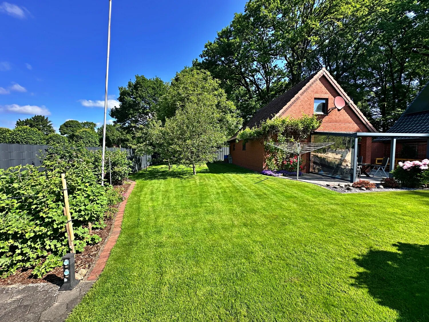 Blick in den Garten