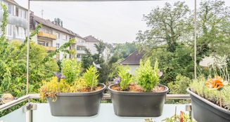 von_poll_real_estate_property_25015011_image_19