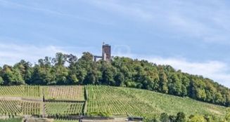von_poll_real_estate_property_25015023_image_10
