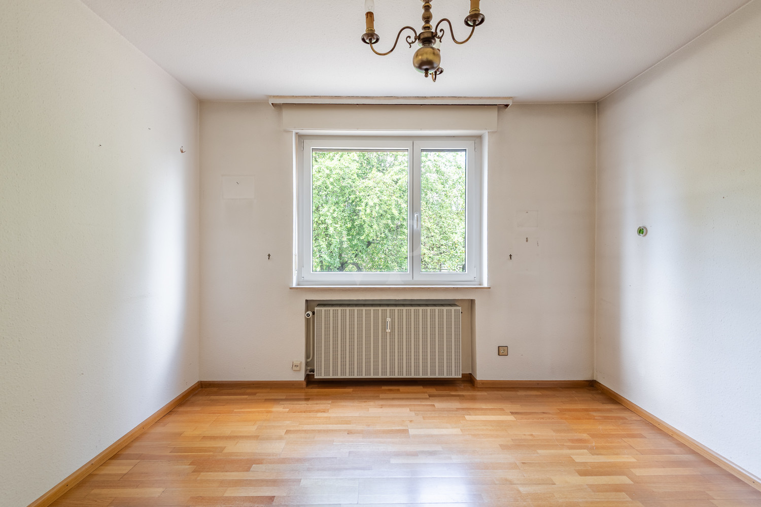 Zimmer EG