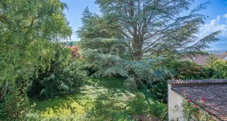 von_poll_real_estate_property_25015024_image_16