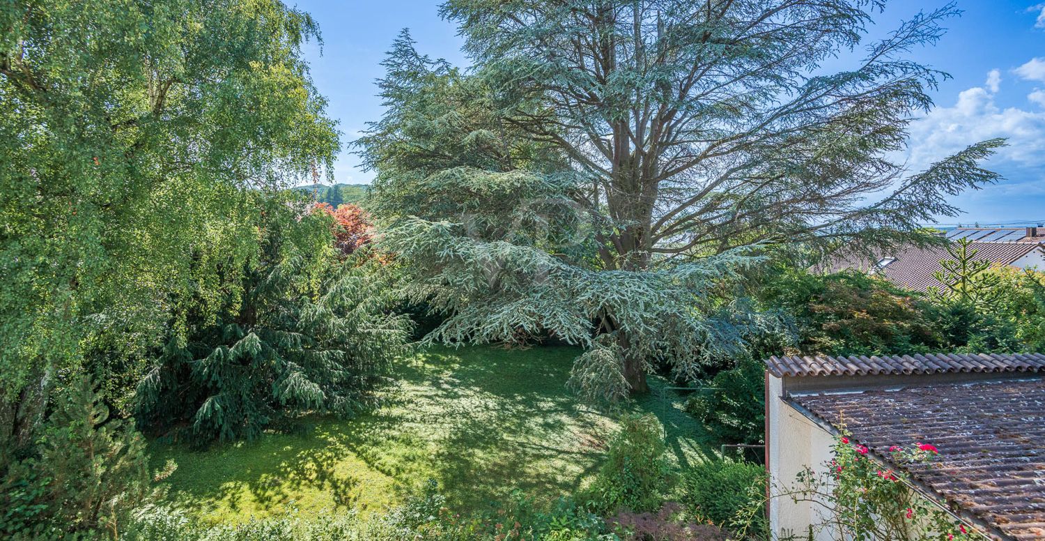 Blick Balkon