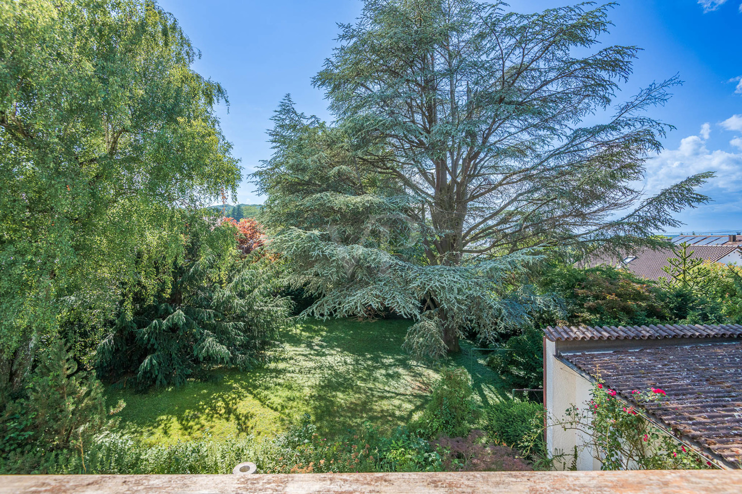 Blick Balkon