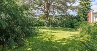 von_poll_real_estate_property_25015035_image_21