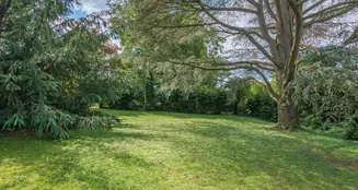 von_poll_real_estate_property_25015035_image_22