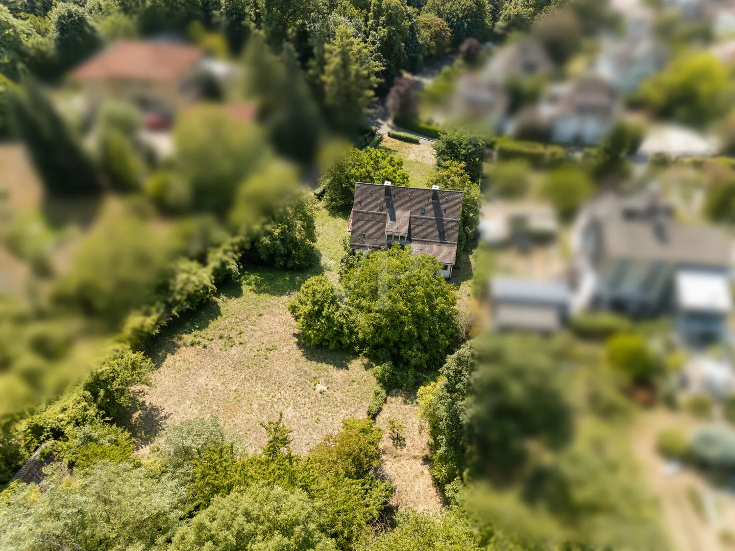 Luftaufnahme Grundstück