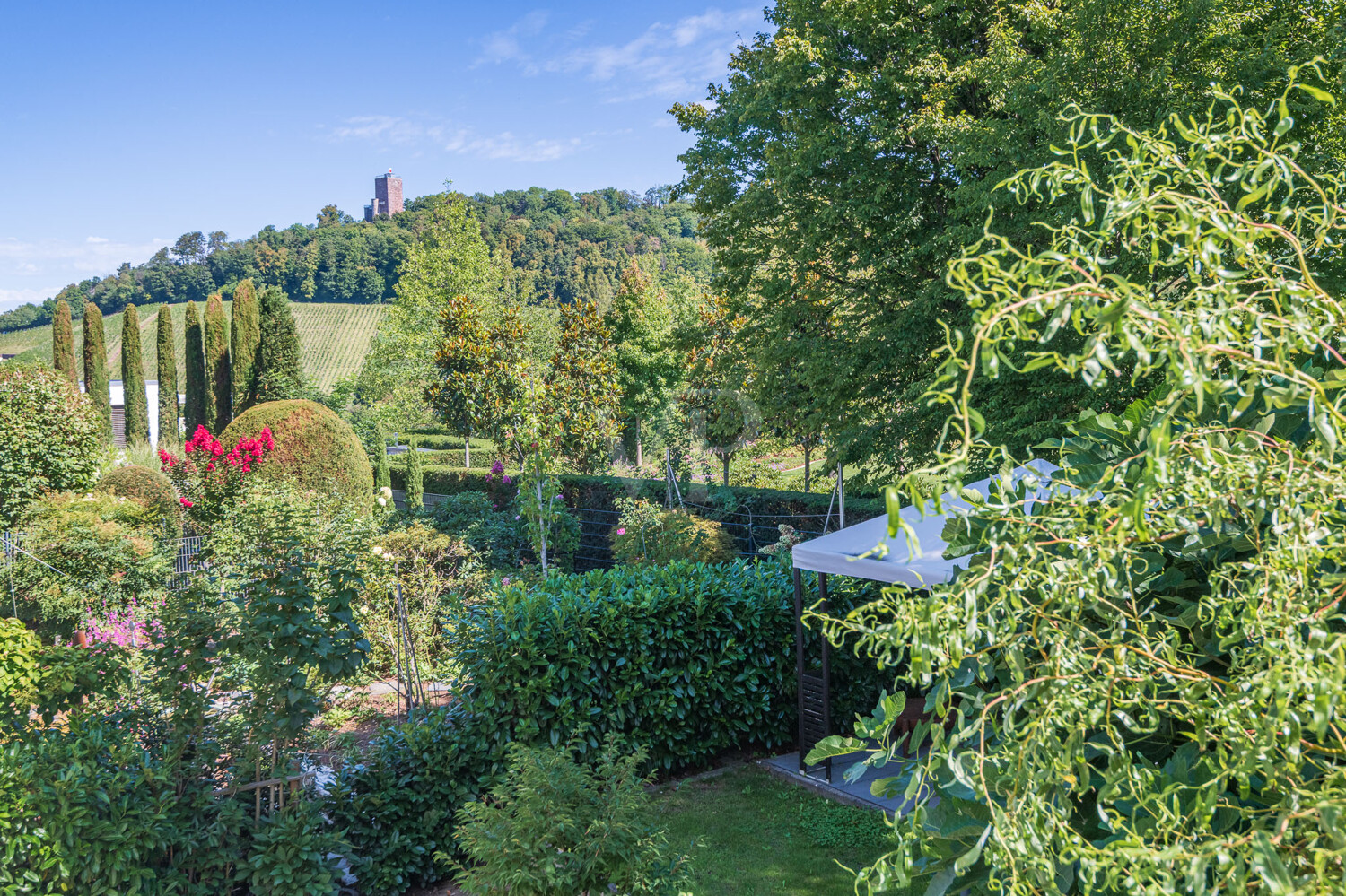 Ausblick Turmbarg