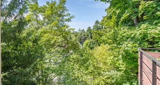 von_poll_real_estate_property_25015029_image_20