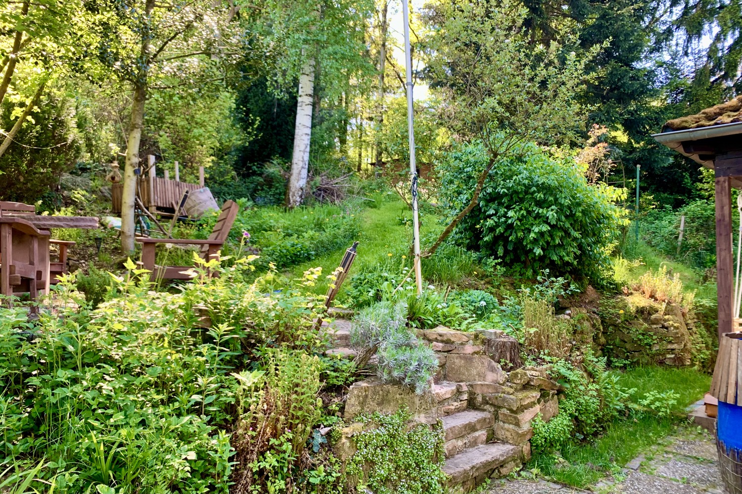 Blick auf das Grundstück