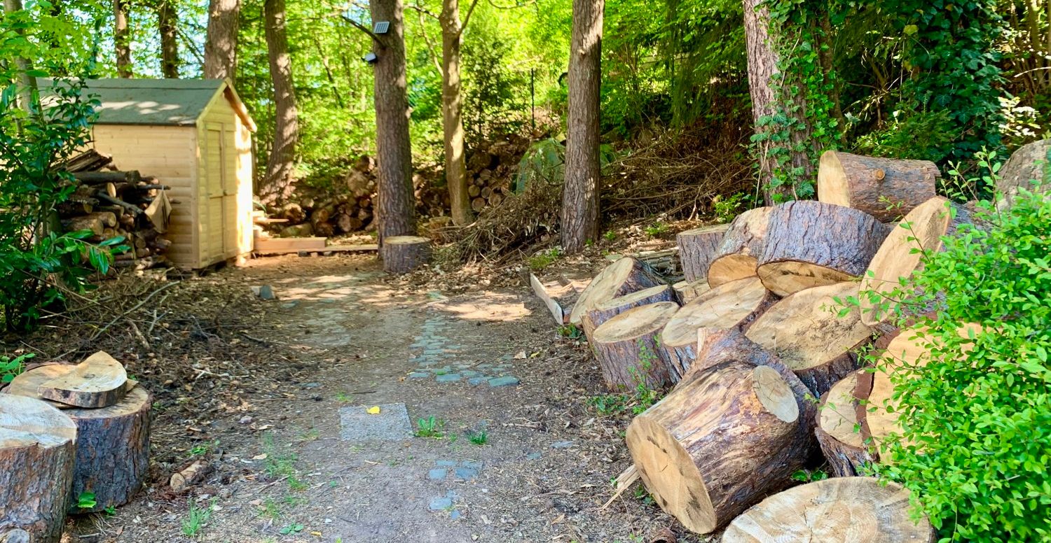 Platz für Holz