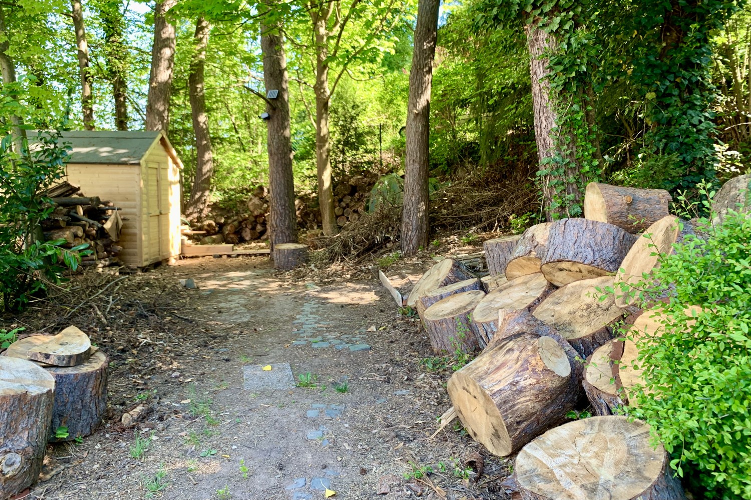 Platz für Holz
