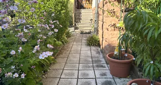 von_poll_real_estate_property_25290006_image_2