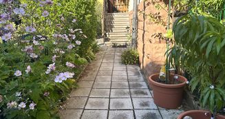 von_poll_real_estate_property_25290006_image_2