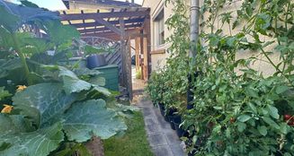 von_poll_real_estate_property_25290006_image_15