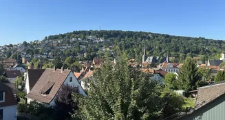 von_poll_real_estate_property_25290006_image_14