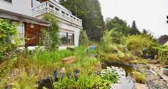 von_poll_real_estate_property_24297011_image_1